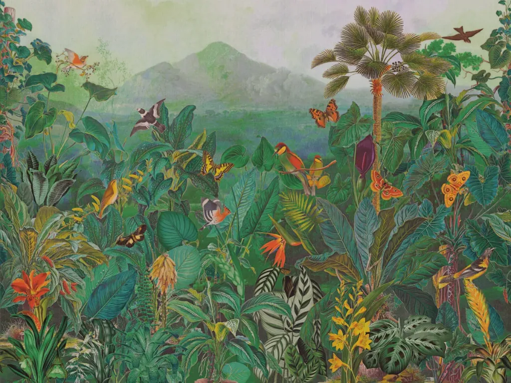 [BOP401] Birds Of Paradise - BOP401