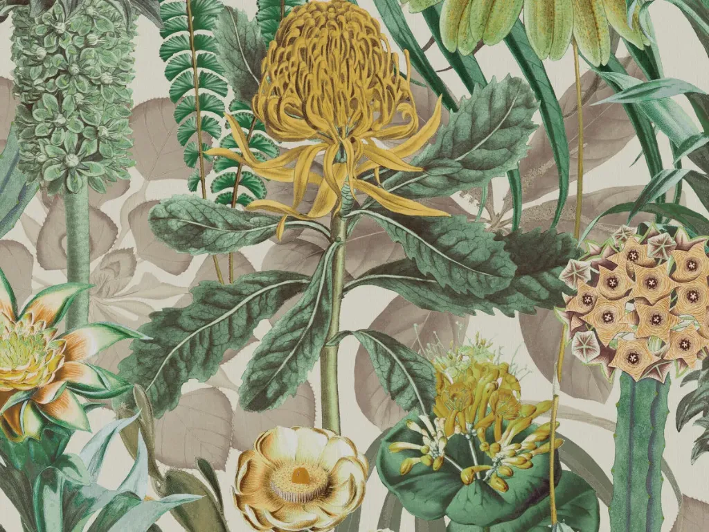 Birds Of Paradise - BOP601