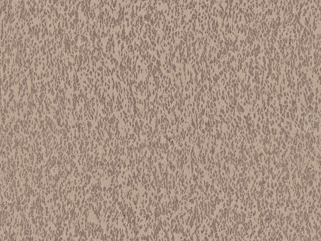 [CAS31] Casca  - CAS31