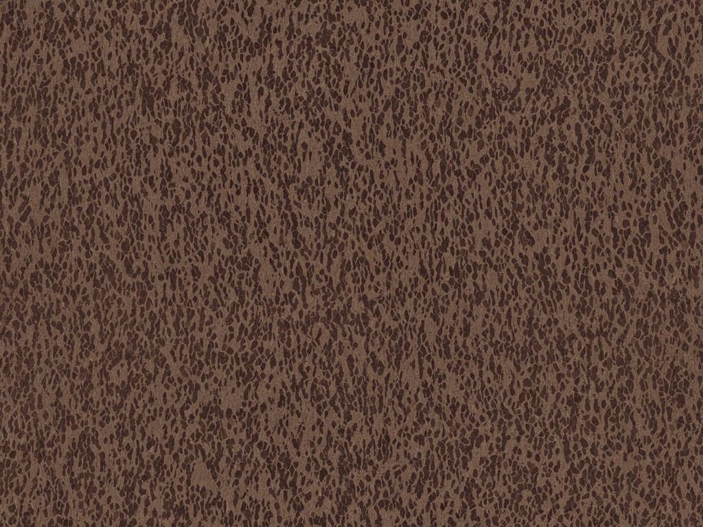 [CAS32] Casca  - CAS32