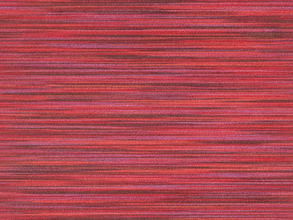 [EGA5708] Elegance - EGA5708