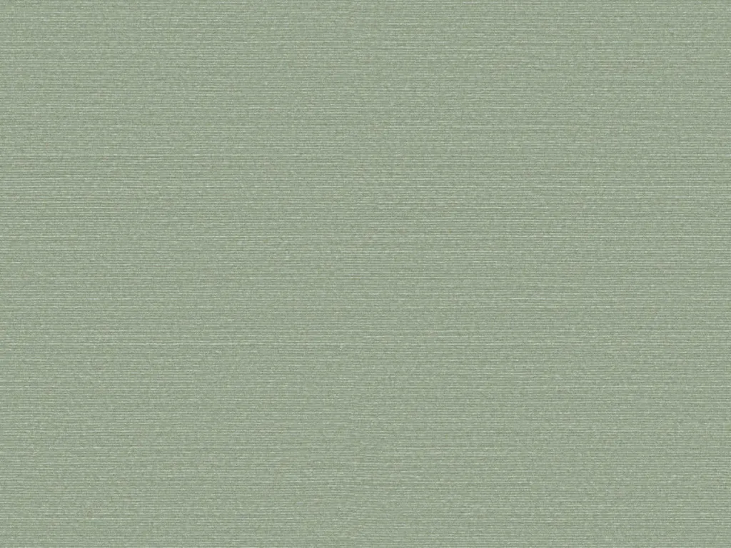 Birds Of Paradise - BOP301