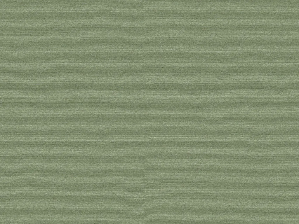 Birds Of Paradise - BOP316