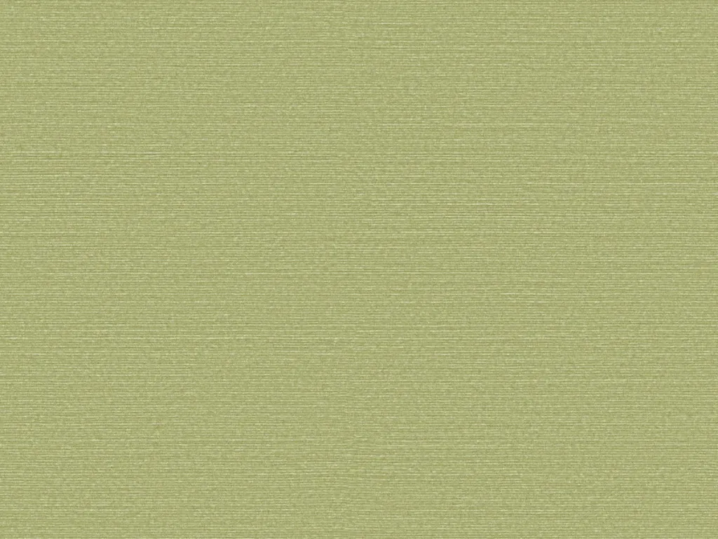 Birds Of Paradise - BOP317