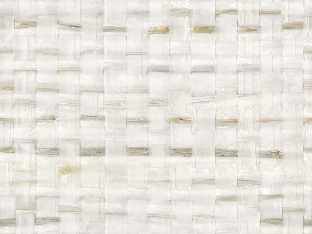 [SOP1031] Shades Of Pale - SOP1031