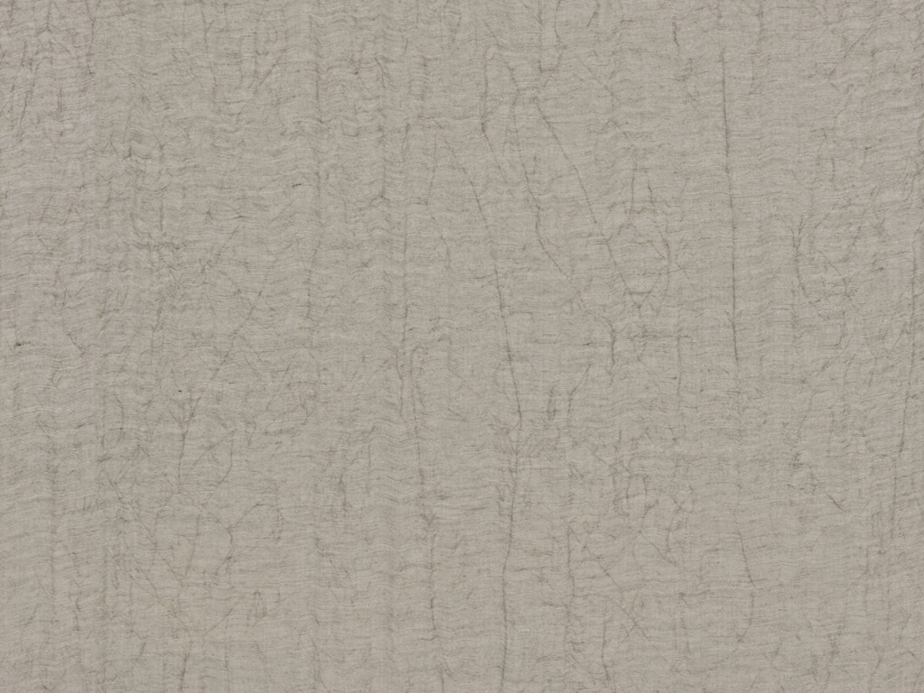 [SOP2081] Shades Of Pale - SOP2081