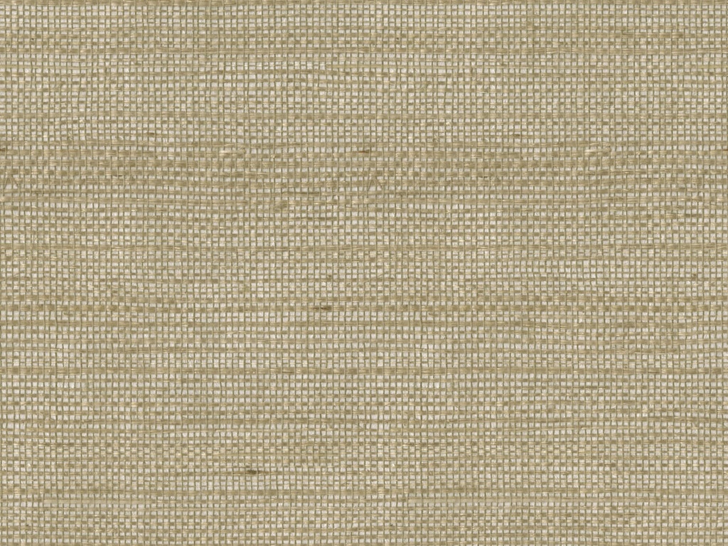 Shades Of Pale - SOP4101