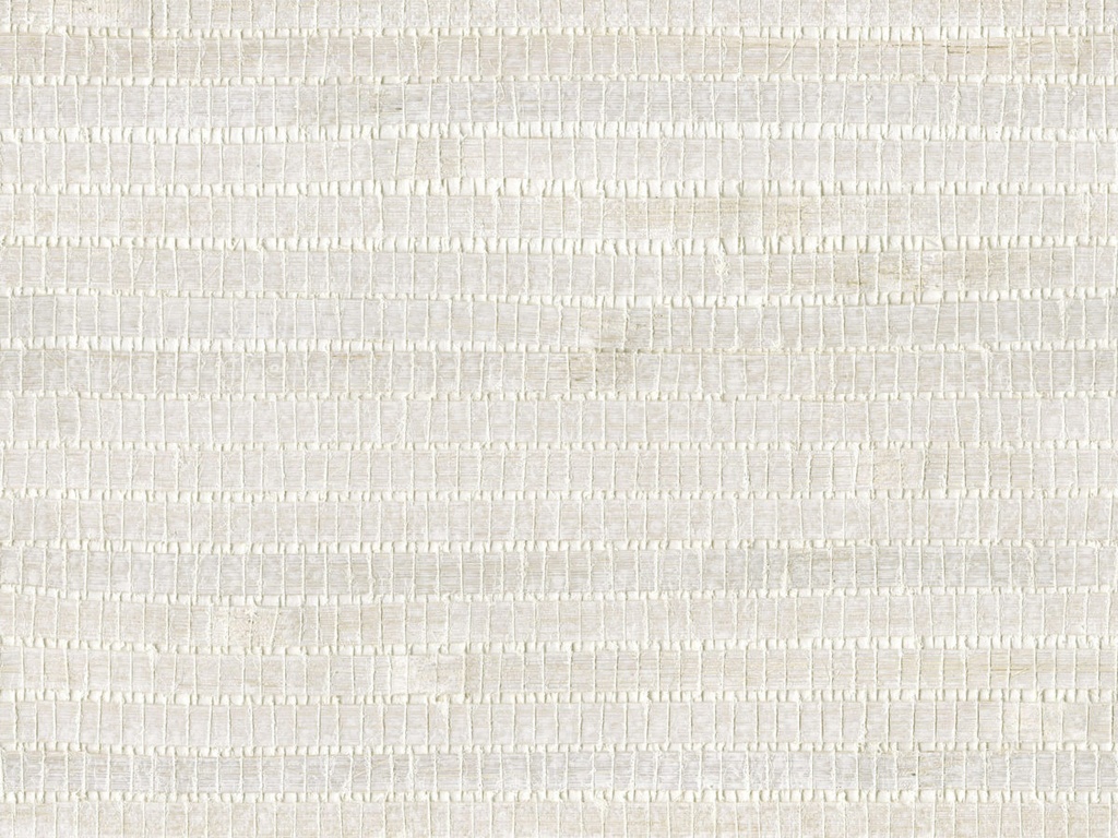 [SOP4111] Shades Of Pale - SOP4111