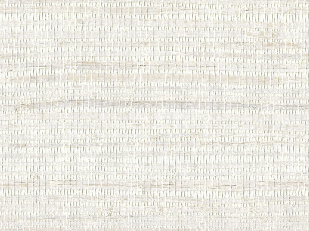 [SOP4124] Shades Of Pale - SOP4124