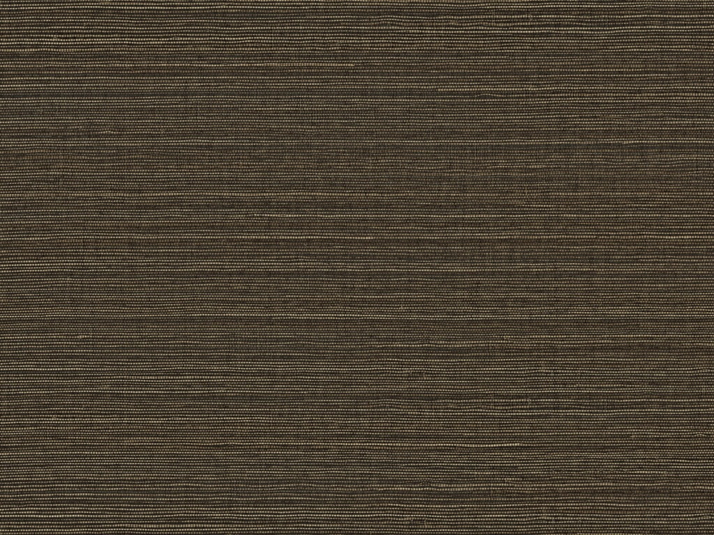 [SRA4302] Seraya - SRA4302