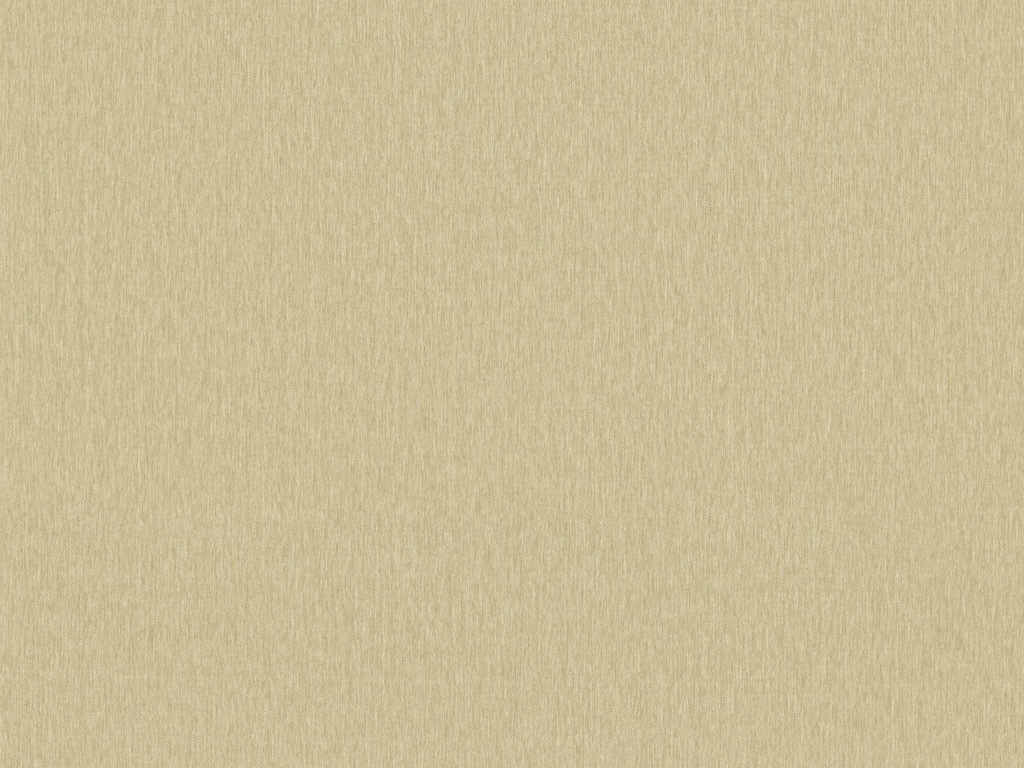 Café Society - CS33