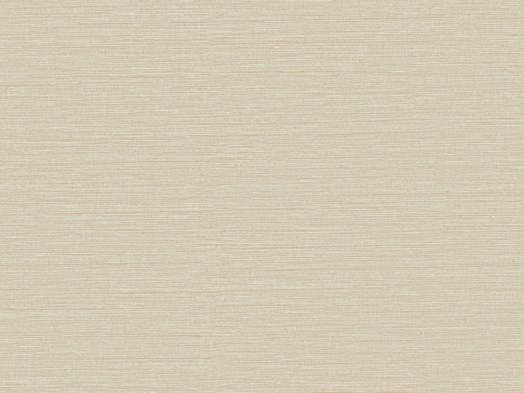 Café Society - CS41