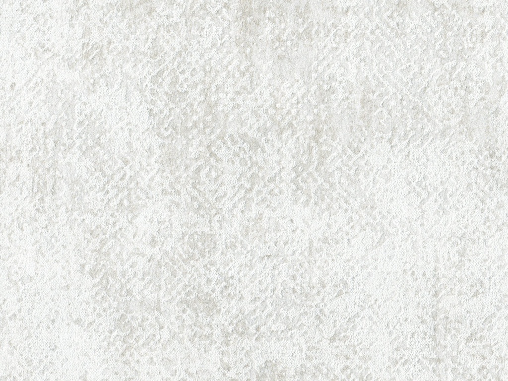 [ED3017] Edition  - ED3017