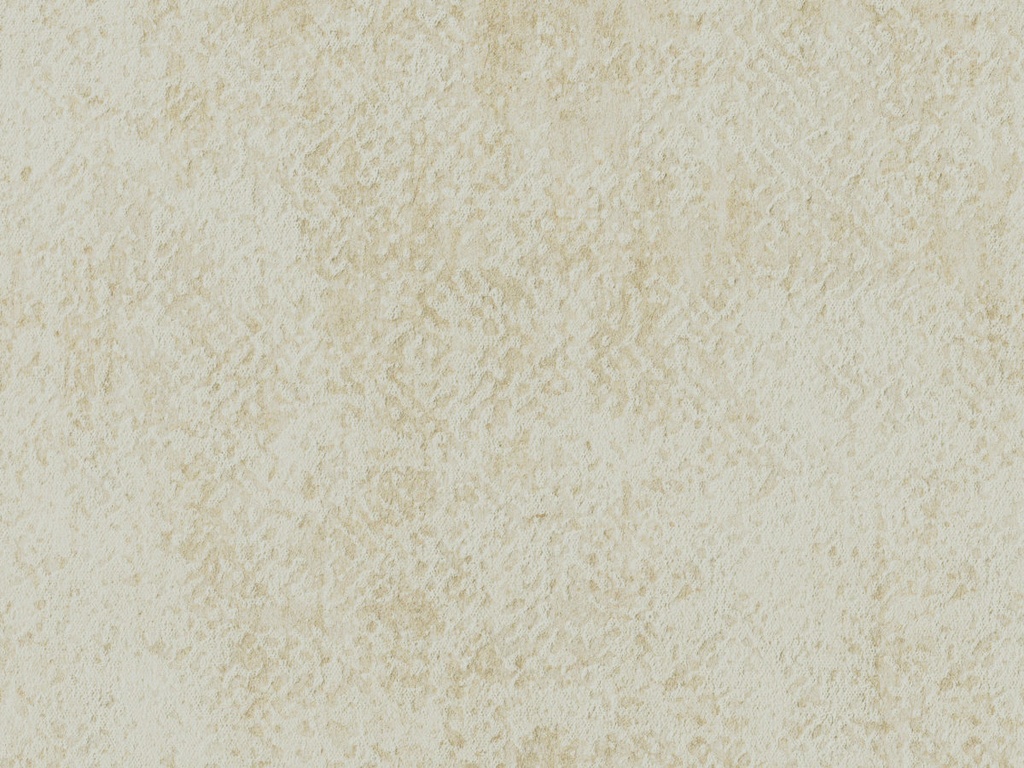 [ED3023] Edition  - ED3023