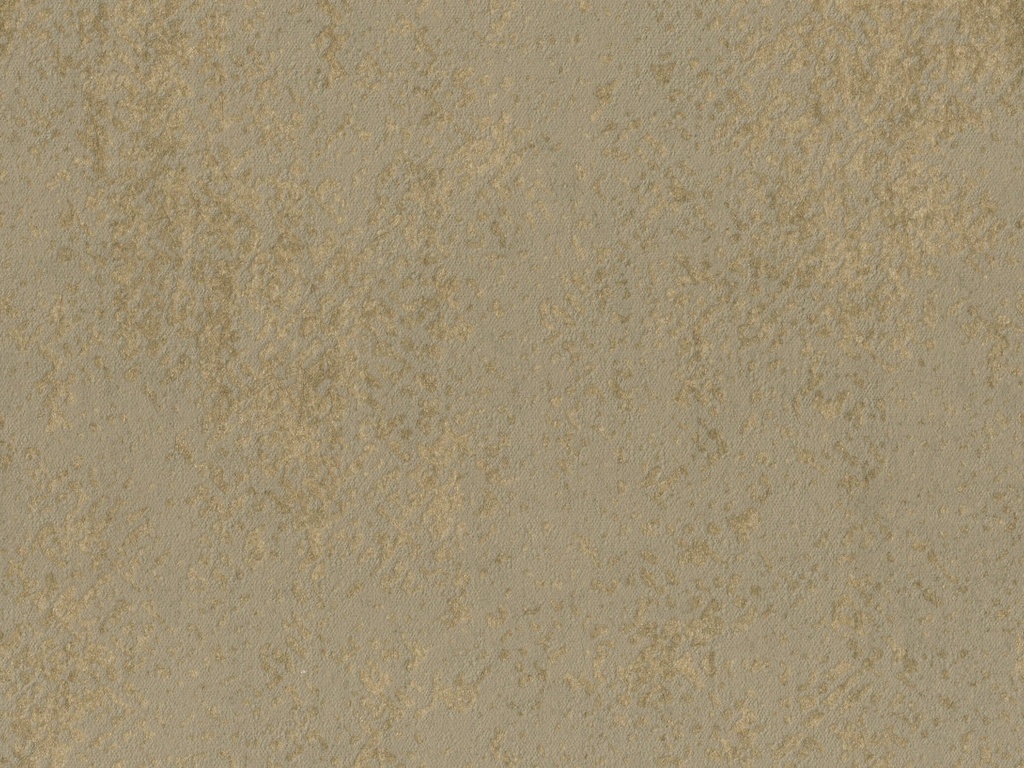 [ED3001] Edition  - ED3001