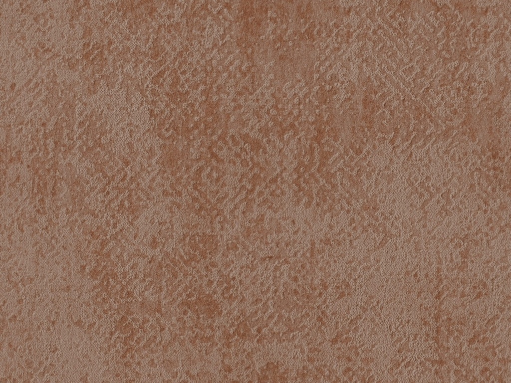 [ED3026] Edition  - ED3026