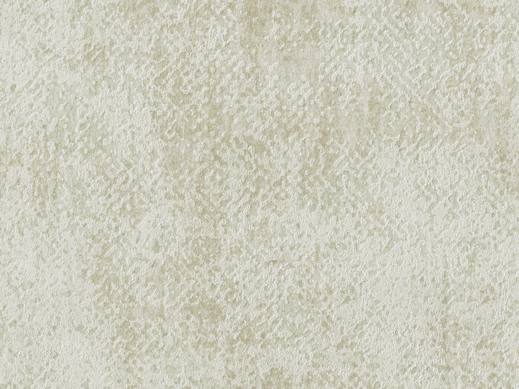 [ED3025] Edition  - ED3025
