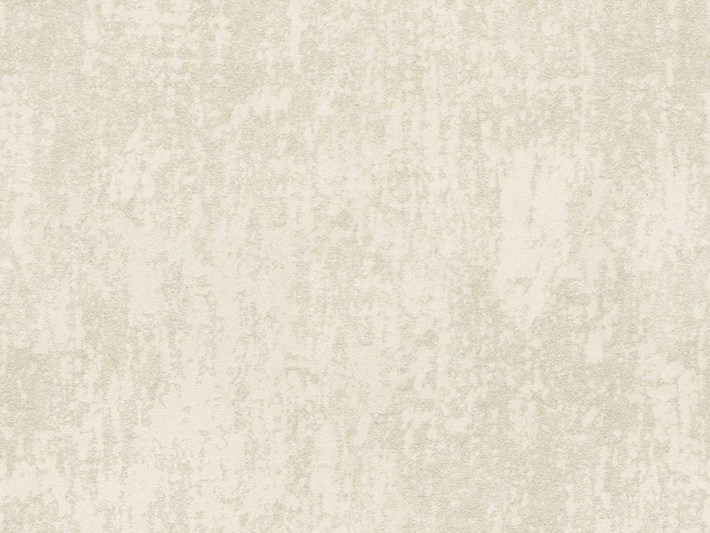 [ED6015] Edition  - ED6015