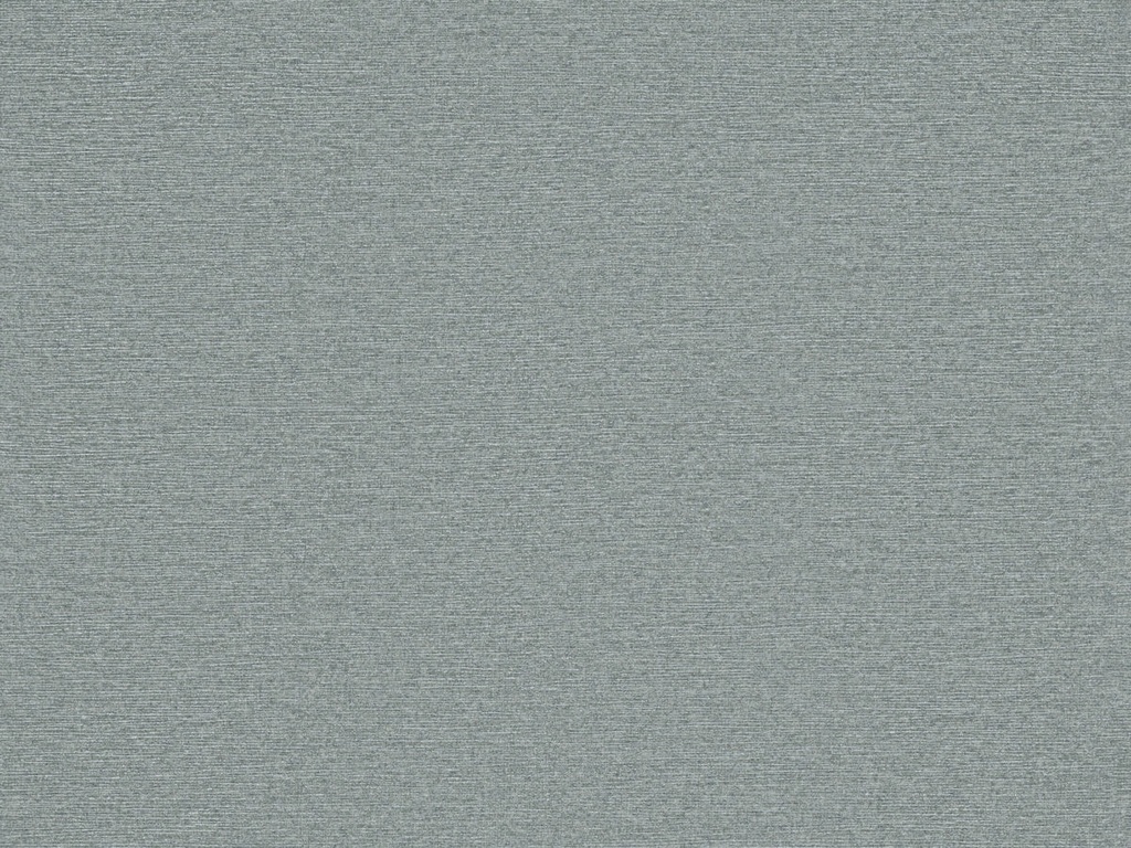 [ED7004] Edition  - ED7004