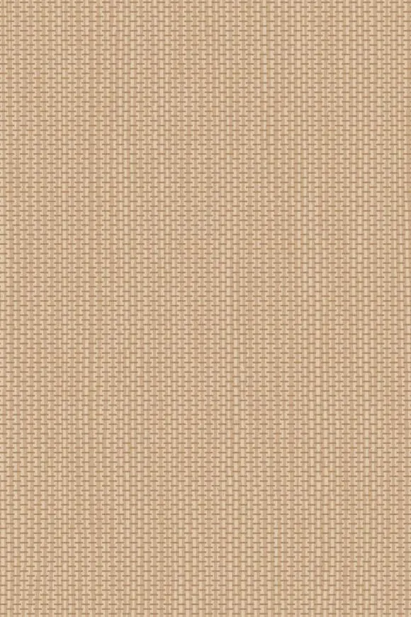 [67743] 67743