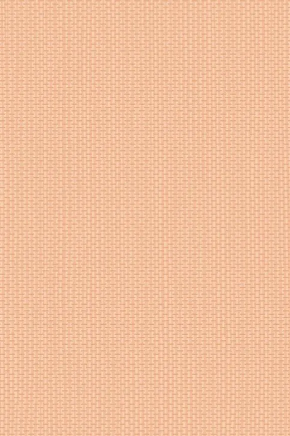 [67745] 67745