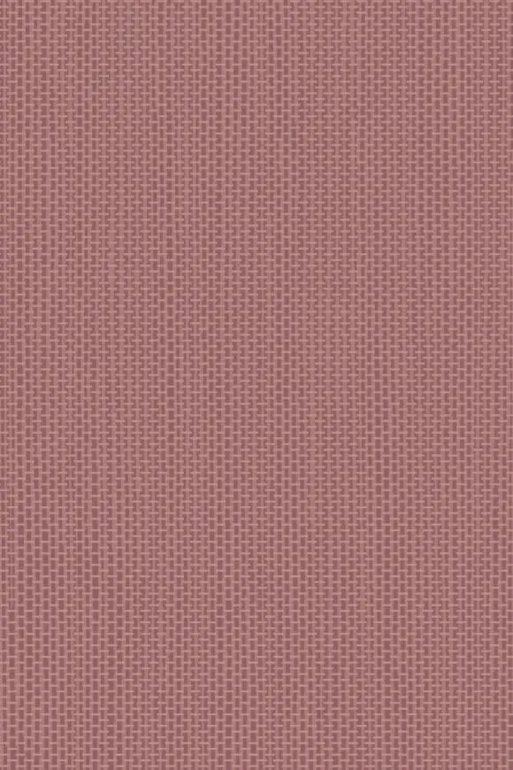 [67746] 67746