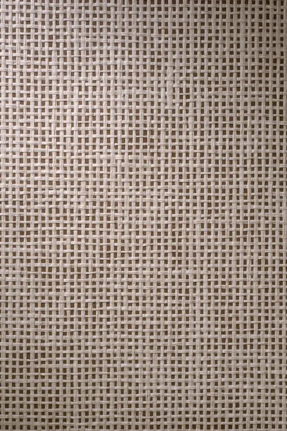 [85533] 85533