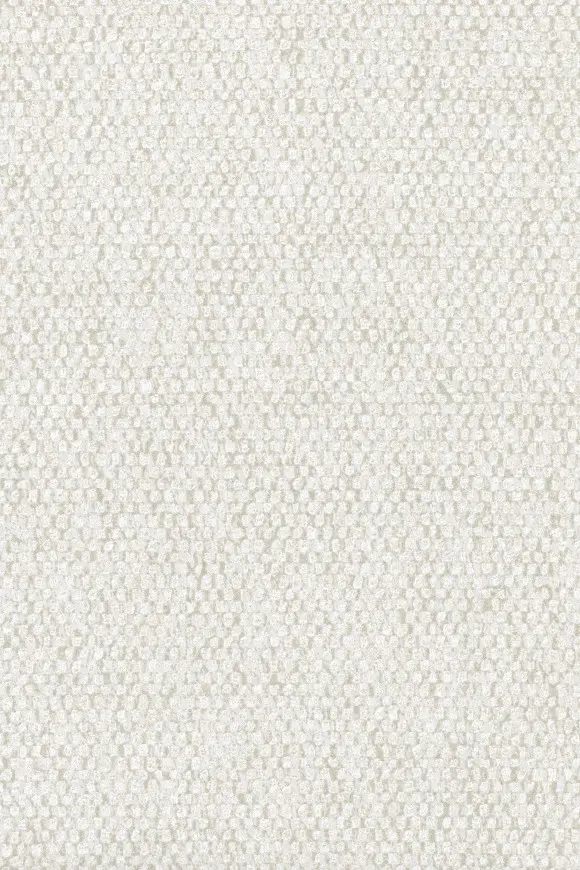 [91551] 91551