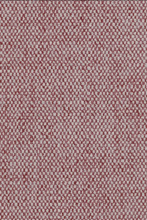 [91556] 91556