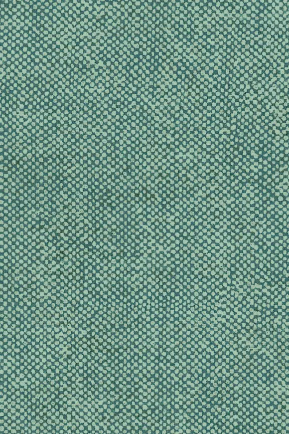 [91613] 91613