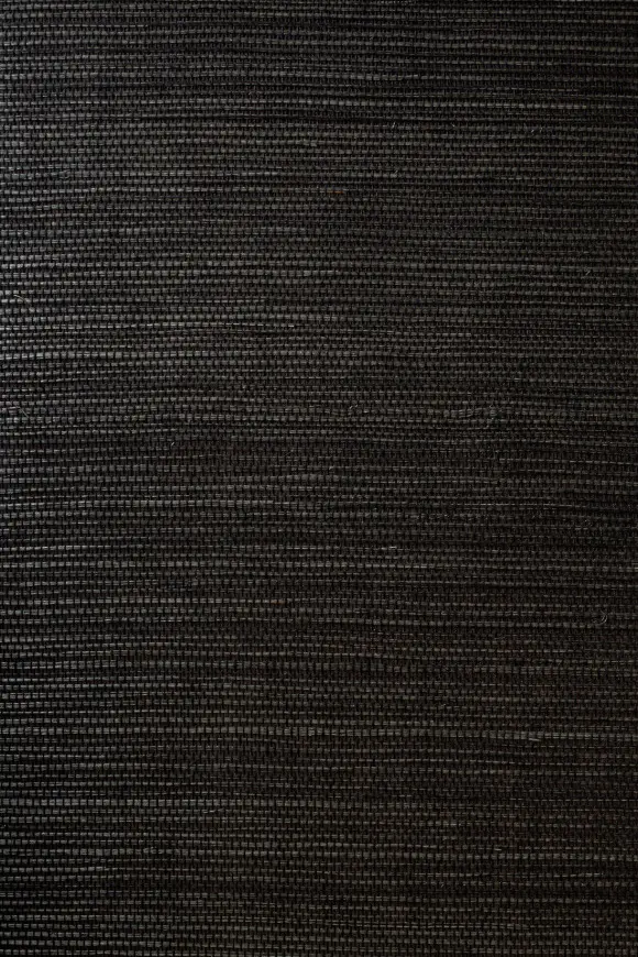 [80701] 80701