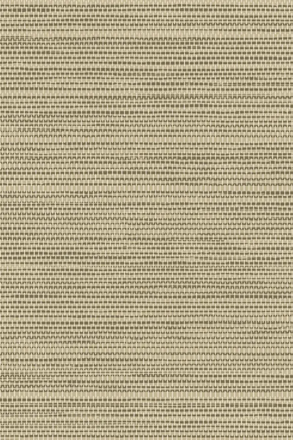 [26704] 26704