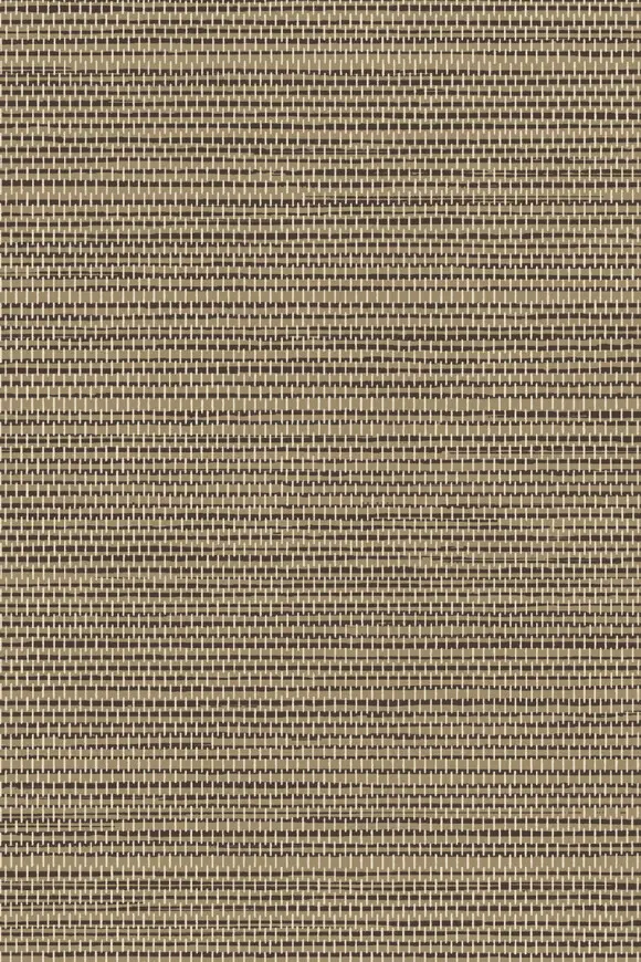 [26705] 26705