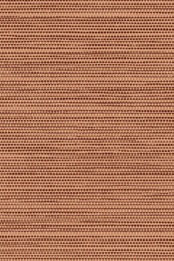 [26709] 26709