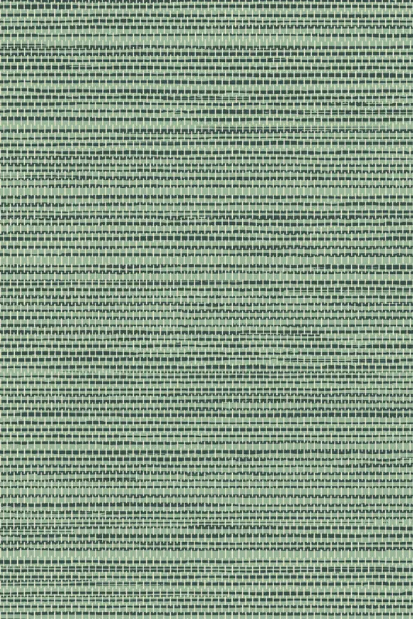 [26711] 26711