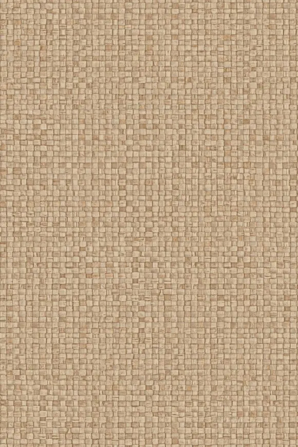 [81541] 81541