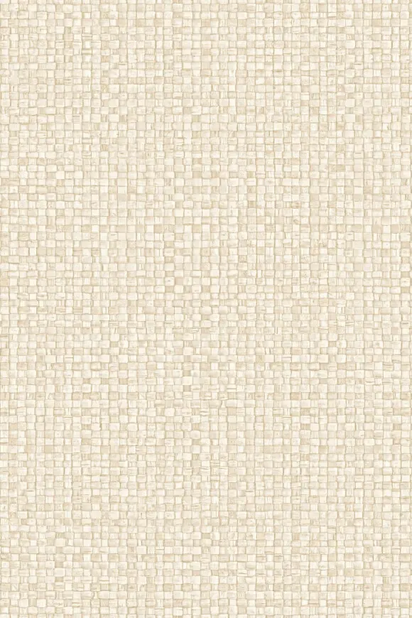 [81542] 81542