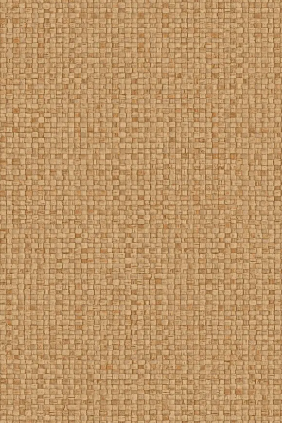 [81543] 81543