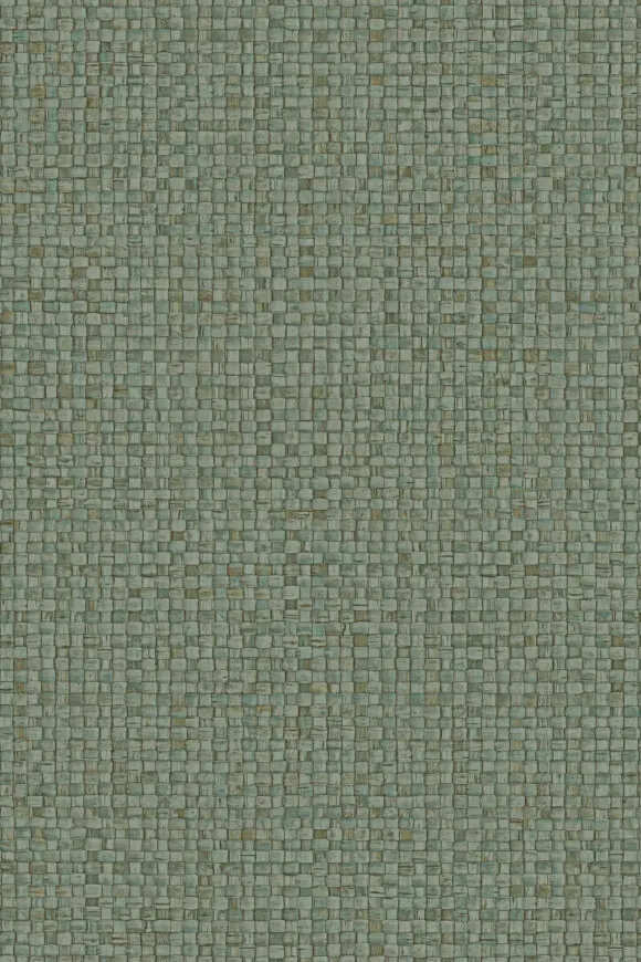 [81544] 81544