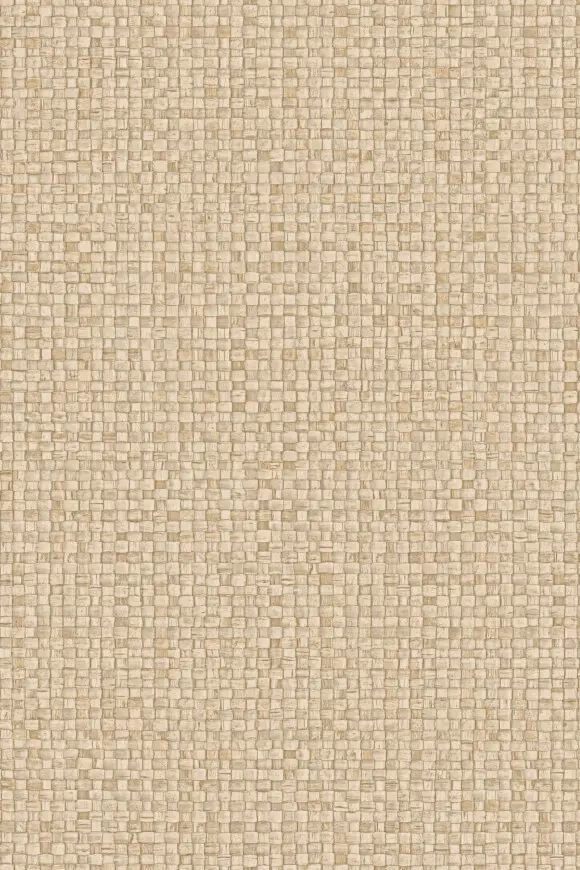 [81545] 81545