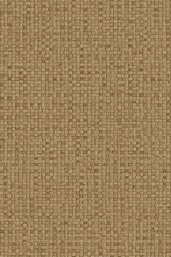 [81546] 81546