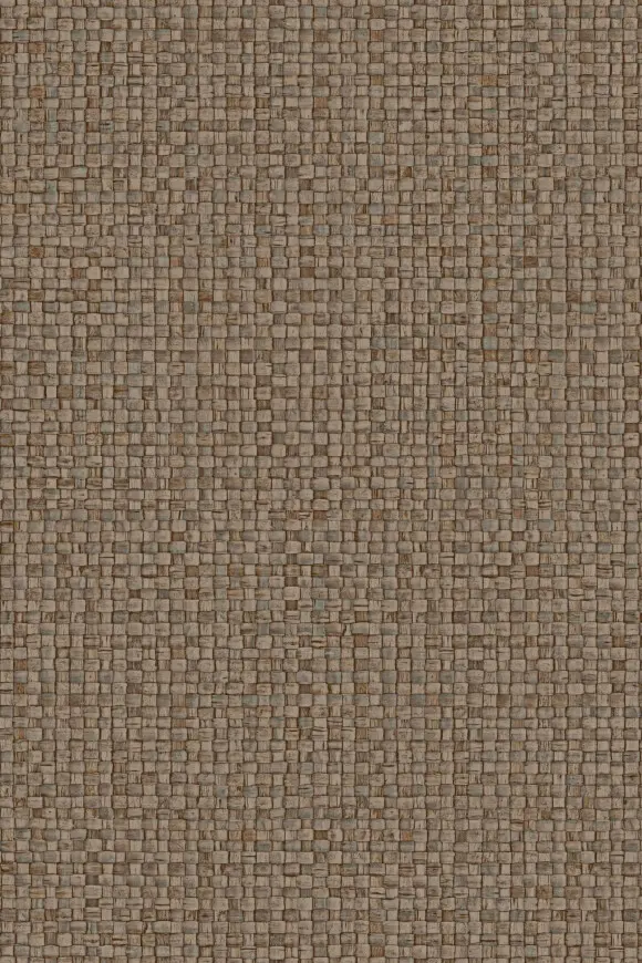[81548] 81548
