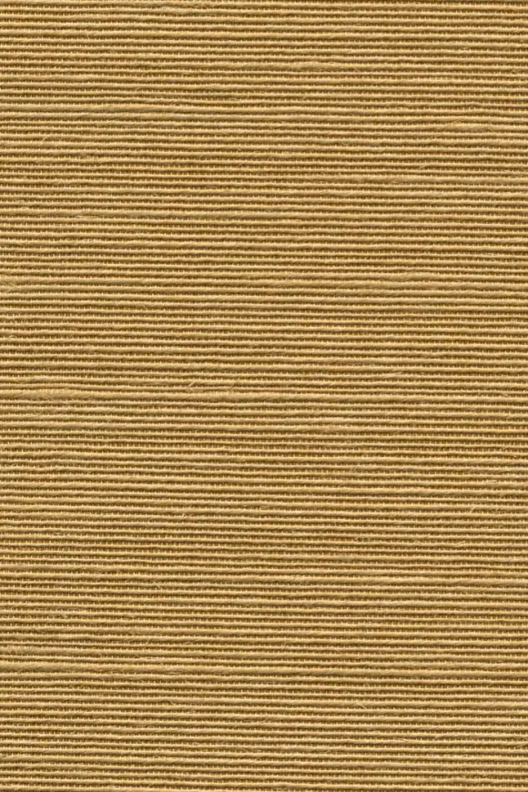 [90530] 90530