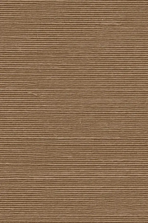 [90535] 90535