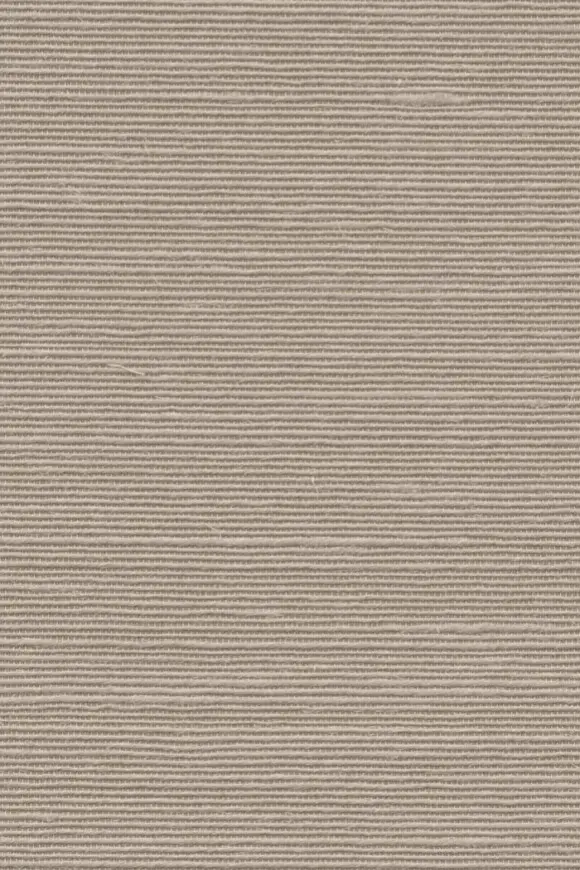 [90536] 90536