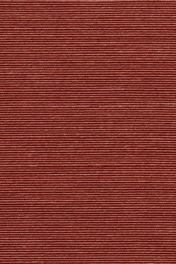 [90538] 90538