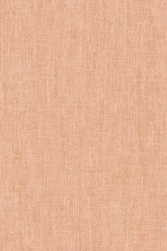 [78203] 78203