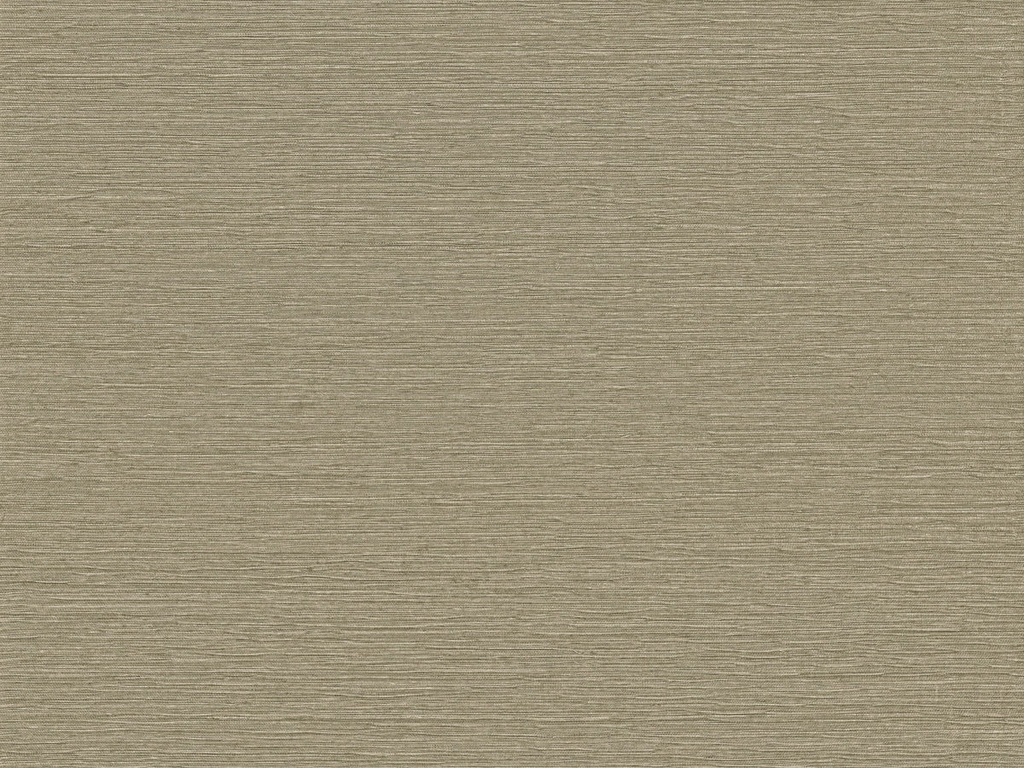[VIR4004] Virginia'S Garden - VIR4004