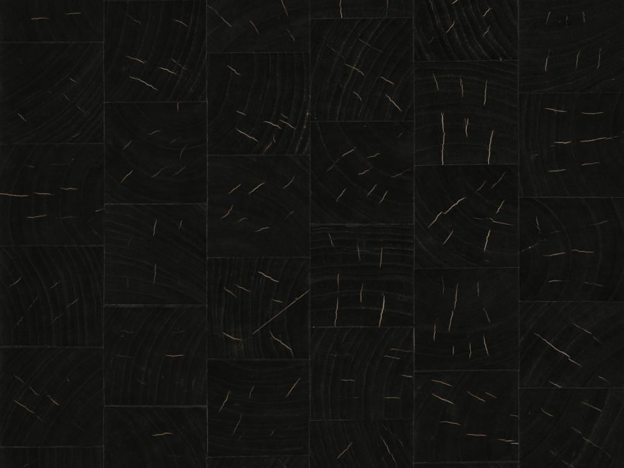 [ECP511] Eclipse - ECP511