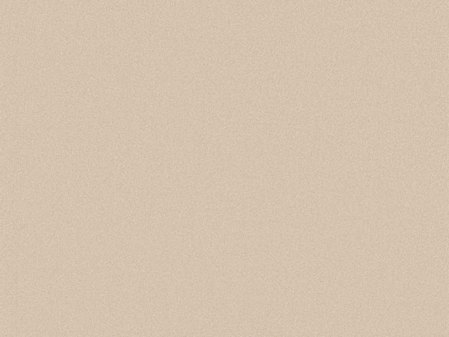 [WHS301] Whisper - WHS301